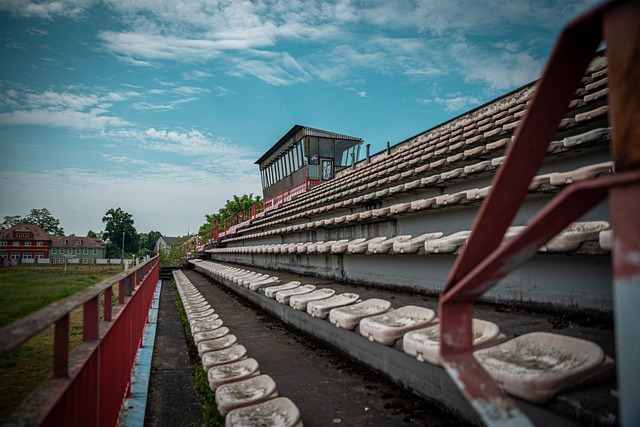 的场地优势 的场地优势