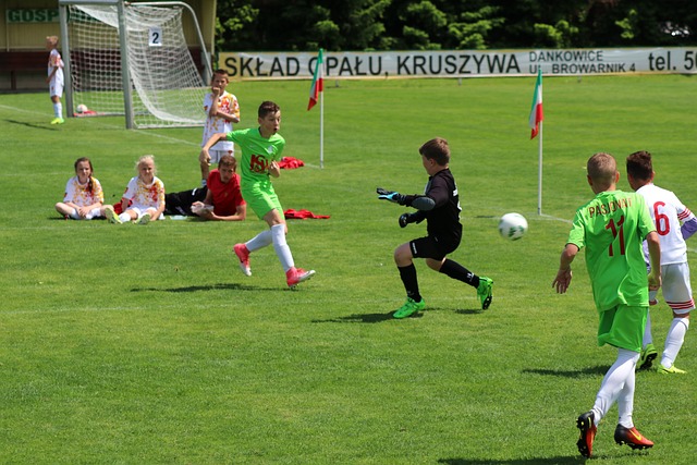 形式加盟西 形式加盟西