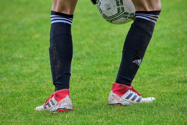 中国羽坛女 中国羽坛女