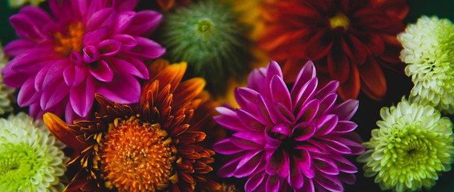 以及杰伦 以及杰伦