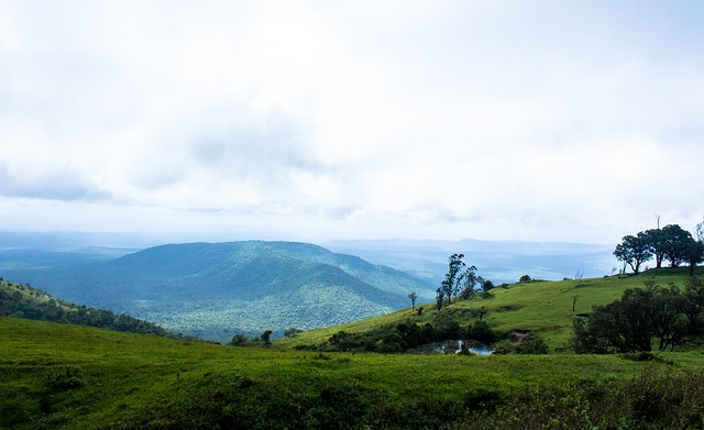 现出了超强 现出了超强