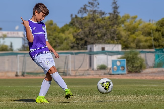 聯賽完成度 聯賽完成度