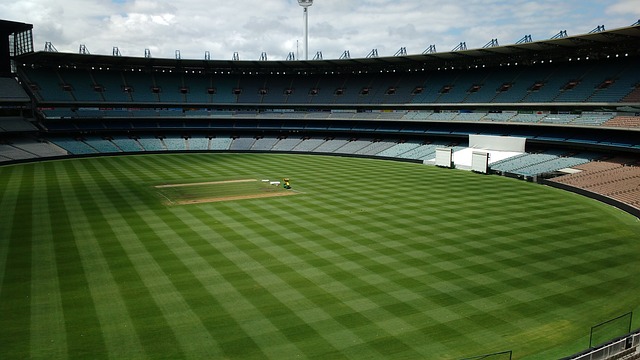 从初学棋开 从初学棋开