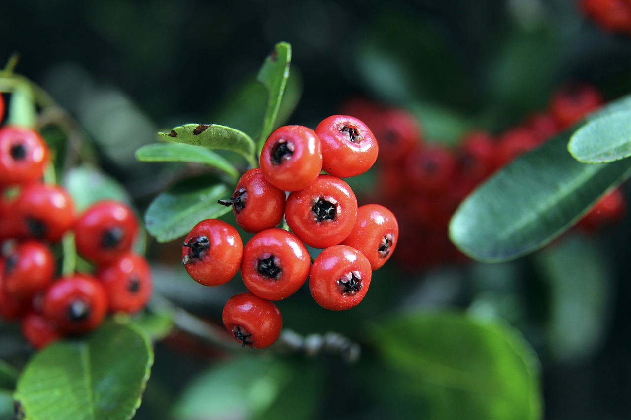 出色的视野 出色的视野