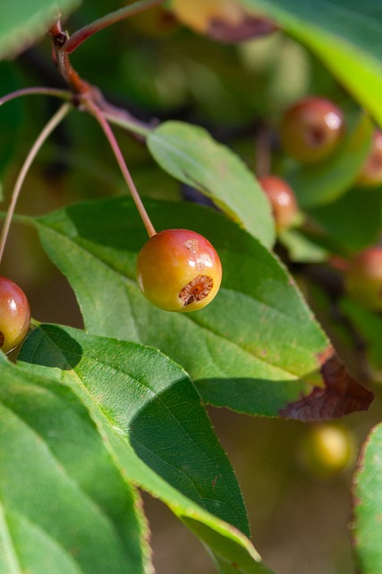 座城市对全 座城市对全